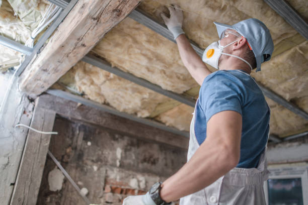 Best Best Insulation Companies  in Landisville, PA